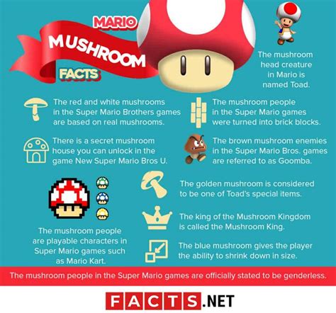 80 Super Mario Mushroom Facts You Never Knew