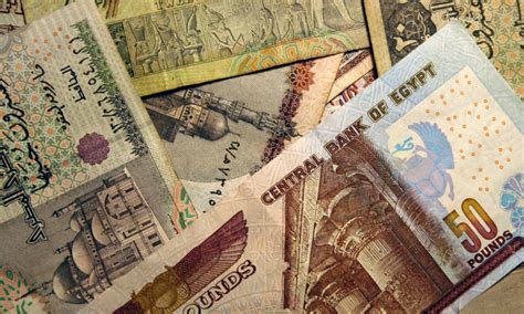 800 Egyptian Pounds to USD: A Comprehensive Guide