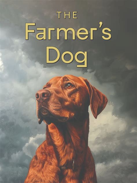 800-48-PAWS: The Ultimate Guide to Farmer's Dog