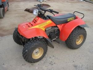 85 suzuki lt250 quadrunner repair manual Reader