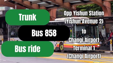 858 Bus Route to Changi Airport: Your Affordable and Convenient Gateway to Singapore's Air Hub