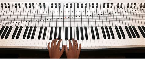 88 Keys on the Piano: Unlocking Musical Expression