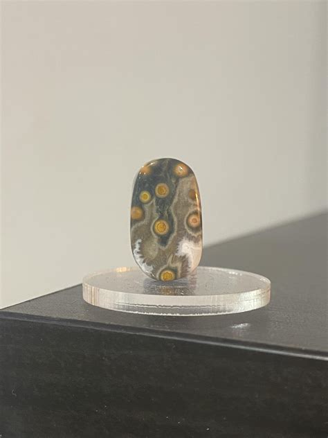 8th Vein Ocean Jasper: A Deep Dive into the Rarest and Most Enigmatic Gemstone