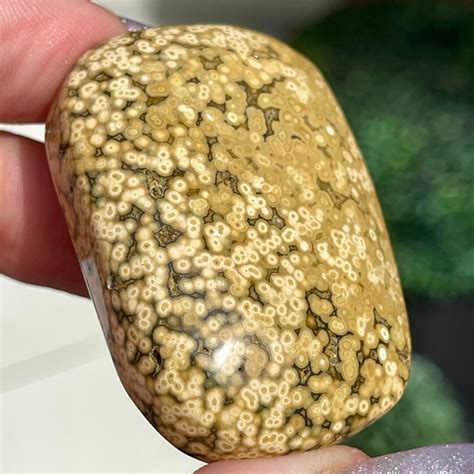 8th Vein Ocean Jasper: An Extraordinary Stone with Captivating Properties