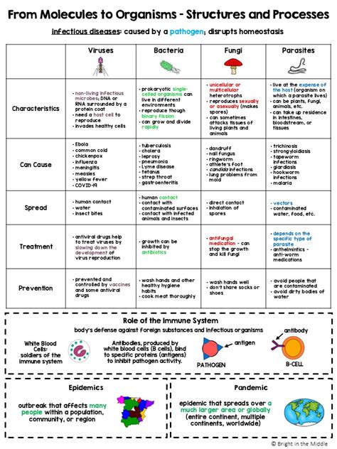 8th grade science msp study guide Doc