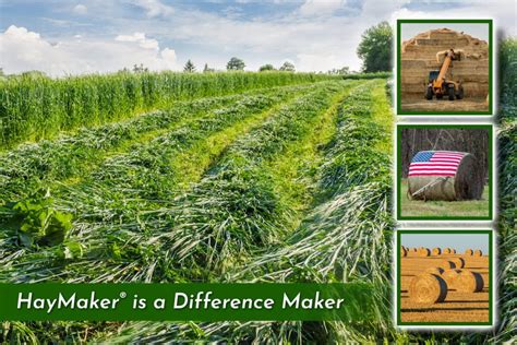 9,999 Reasons to Use Hay Maker Fertilizer