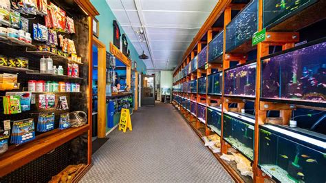 9 Aquatic Shops Near You: Your Guide to the Best Fish Stores