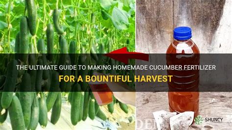 9 Ultimate Vegetables Fertilizers for Bountiful Harvests