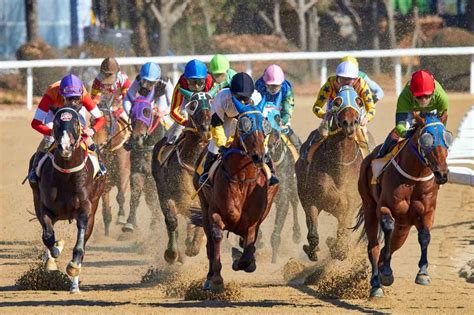 9.997 Corrida de Aposta: Uma Revolução no Mundo das Corridas de Cavalos