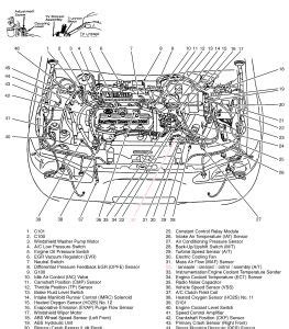 97 escort engine diagram Epub