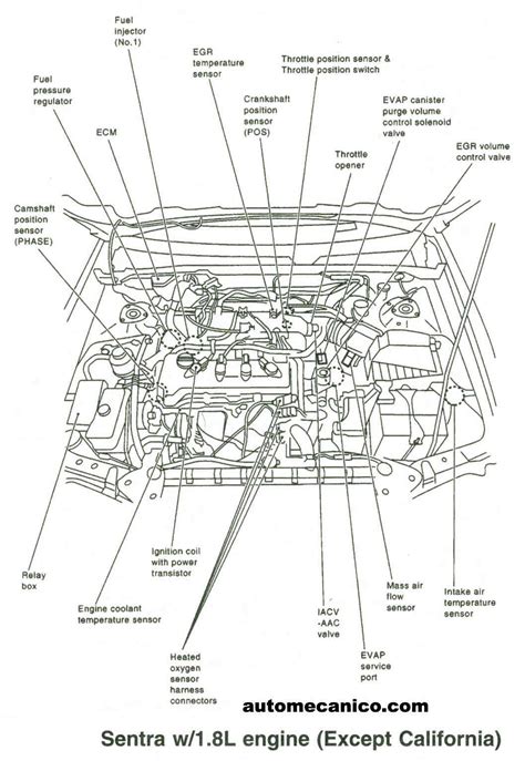 98 maxima engine diagram Kindle Editon