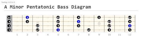 98.6% of Musicians Swear by Pentatonic Scale for Bass Guitar