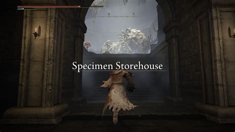 99+ Ingenious Uses for the Specimen Storehouse in Elden Ring