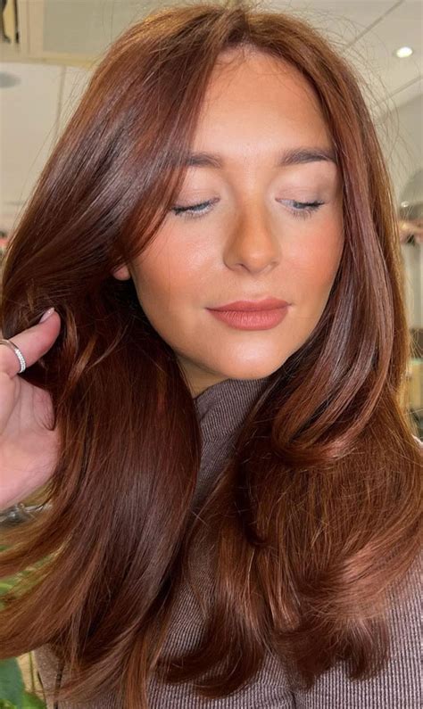 99 Ways to Rock Chestnut Colored Hair