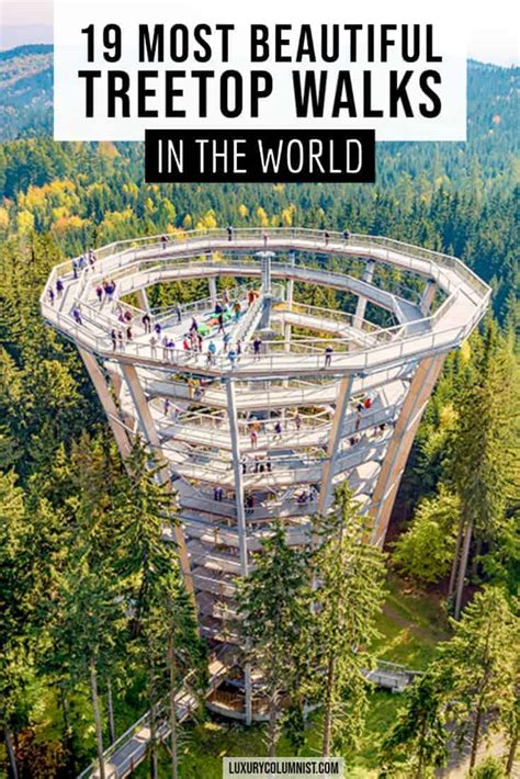 999 Must-See Tree Top Walks Around the World