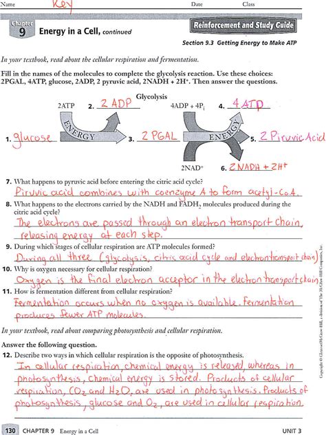 9th Grade Biology Questions Answers PDF