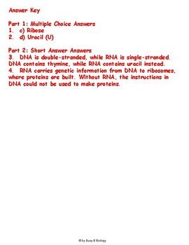 9th Grade Biology Rna Test Answer Epub