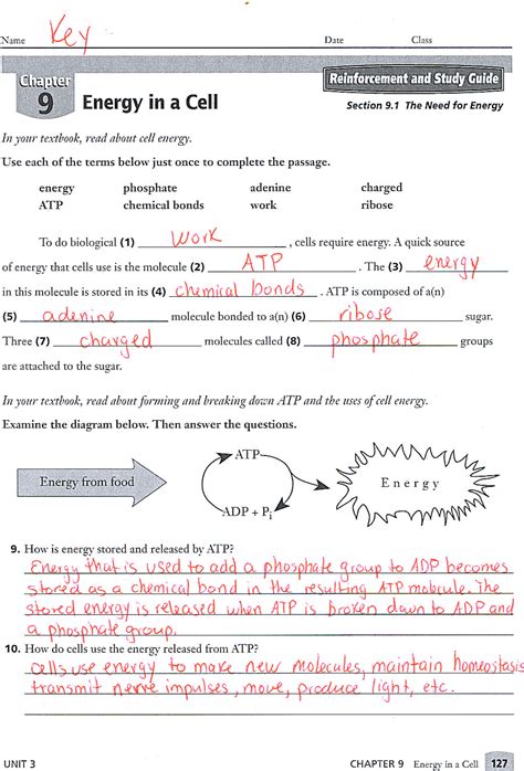 9th grade physical science answer key Epub