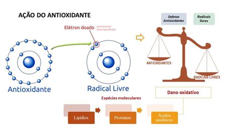 Ação Antioxidante: