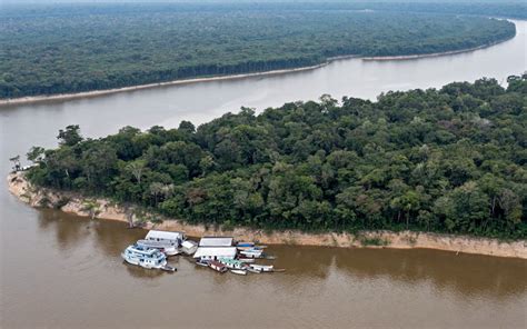 A Aposta do Jacaré: Como o Brasil Pode Prosperar na Economia Verde