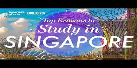 A Bachelor's Degree in Singapore: The Gateway to Success in the Globalized World