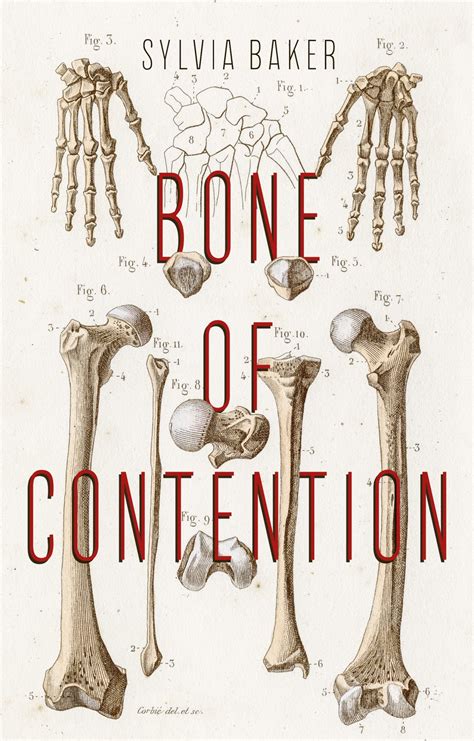 A Bone of Contention PDF