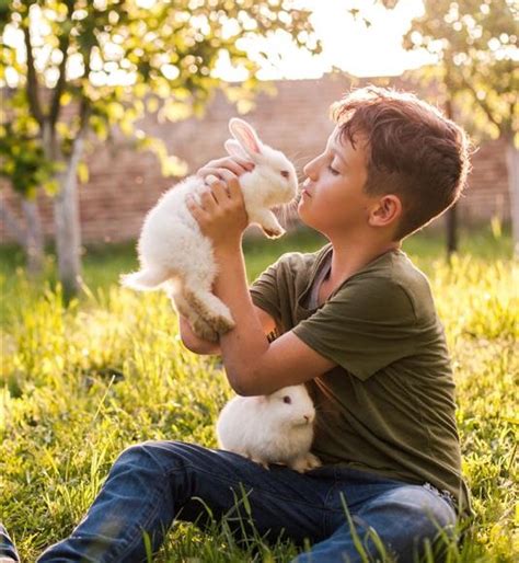 A Boy and His Bunny Epub