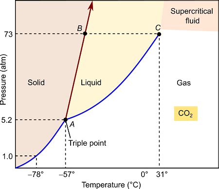 A Canary-Yellow Solid at Room Temperature and 1 atm: Delving into the Enigmatic World of Sulfur