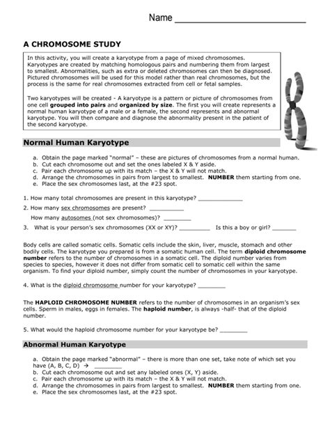 A Chromosome Study Answer Key PDF