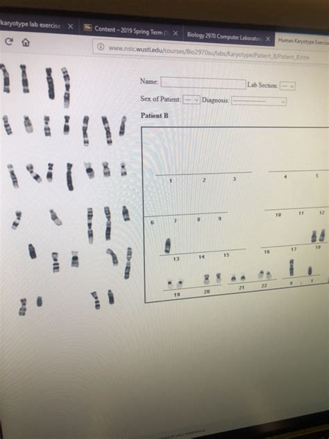 A Chromosome Study Lab Answers Kindle Editon