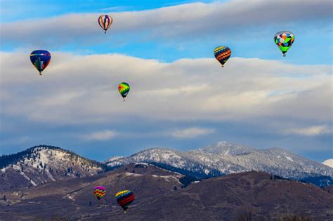 A Cluster of Balloons: Soaring to New Heights