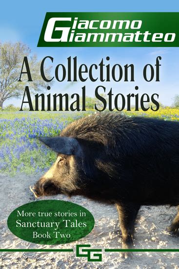 A Collection of Animal Stories Sanctuary Tales Book 2 Reader