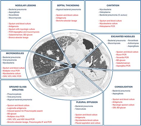 A Colour Atlas of Respiratory Diseases PDF