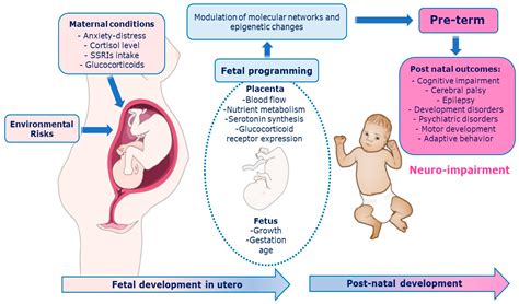 A Complex Exchange: Infant Switch and Its Consequences