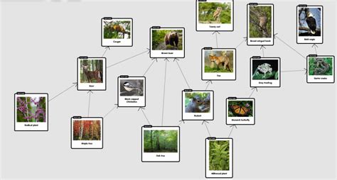 A Complex Web of Relationships