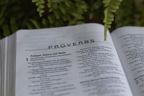 A Comprehensive Book of Proverbs Reader