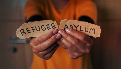 A Comprehensive Guide to Asylum-Friendly Countries: Where to Find Refuge and Respite