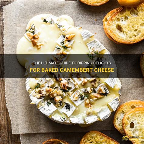 A Comprehensive Guide to Camembert: Unlock the Delights of This Renowned French Cheese