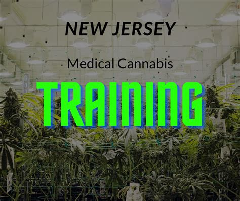 A Comprehensive Guide to Cannabis in New Jersey