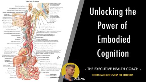 A Comprehensive Guide to Dermot: Unlocking the Power of Embodied Cognition