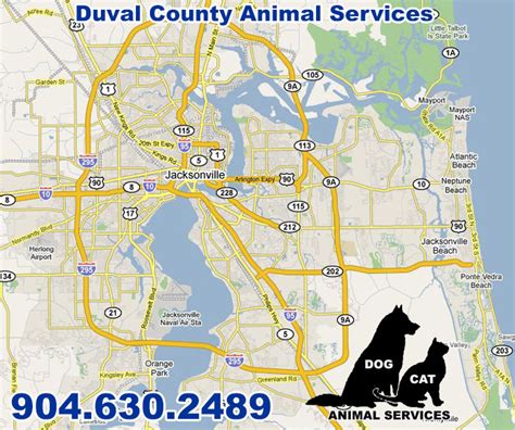 A Comprehensive Guide to Duval County Animal Control in Jacksonville, FL