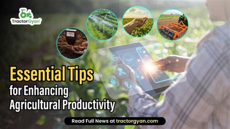 A Comprehensive Guide to Enhancing Agricultural Productivity