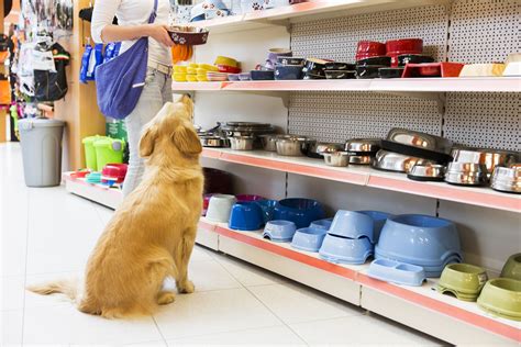 A Comprehensive Guide to Finding the Best Pet Supermarket Near You