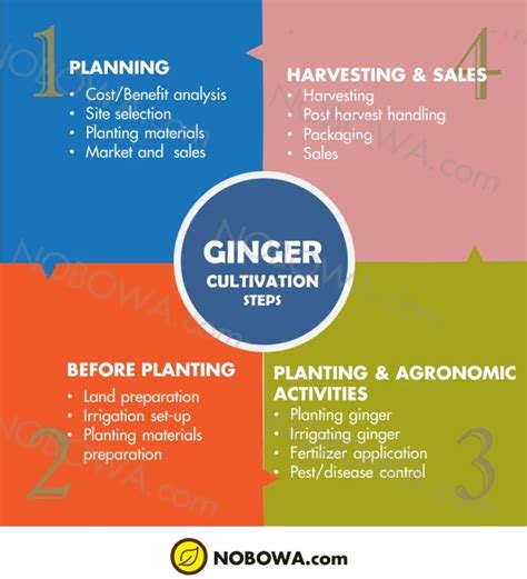 A Comprehensive Guide to Gingermfc: Advancing Technology with Culinary Expertise