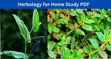 A Comprehensive Guide to Herbology for Home Study: Empowering George Savillo