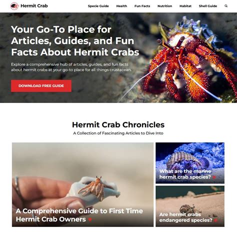 A Comprehensive Guide to Hermit Crab Shells: Choosing the Perfect Home for Your Pet