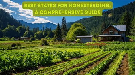 A Comprehensive Guide to Homesteading as an Ideal Lifestyle