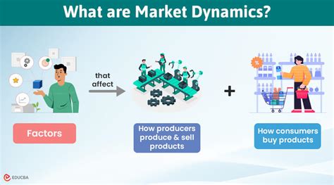 A Comprehensive Guide to Markets: Understanding Consumer Behavior and Market Dynamics