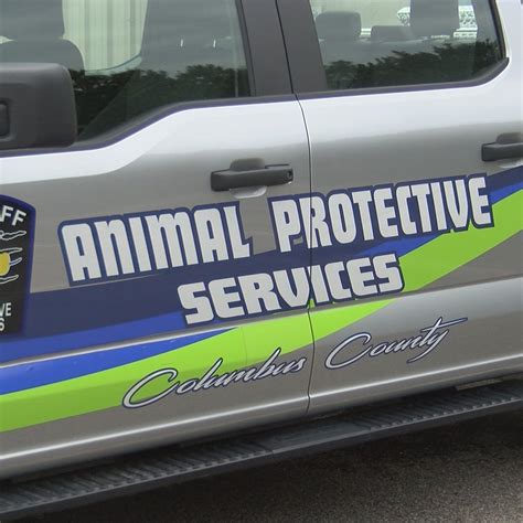 A Comprehensive Guide to Onslow County Animal Control: Ensuring Animal Welfare and Community Safety