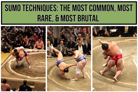 A Comprehensive Guide to Pittsburgh Sumo: Thrills, Tips, and Techniques